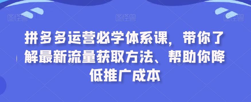 拼多多运营必学体系课，带你了解最新流量获取方法、帮助你降低推广成本-爱找项目网