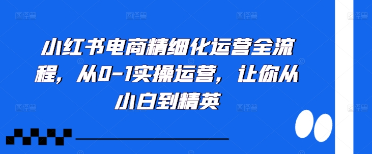 小红书电商精细化运营全流程，从0-1实操运营，让你从小白到精英-爱找项目网