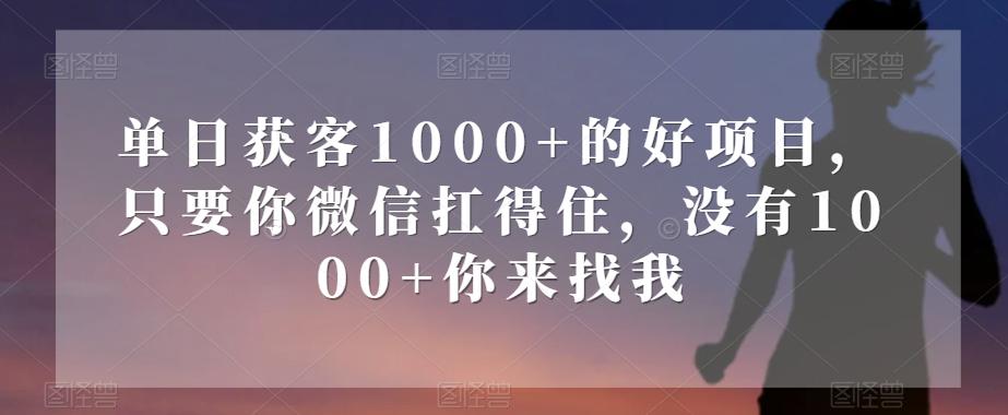 单日获客1000+的好项目，只要你微信扛得住，没有1000+你来找我【揭秘】-爱找项目网