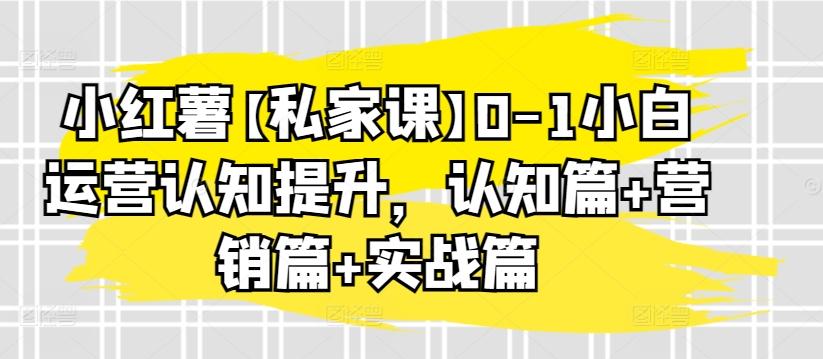 小红薯【私家课】0-1小白运营认知提升，认知篇+营销篇+实战篇-爱找项目网