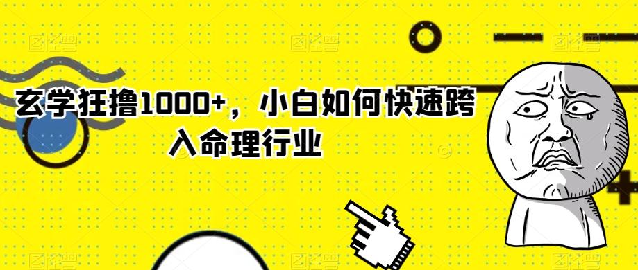 玄学狂撸1000+，小白如何快速跨入命理行业-爱找项目网