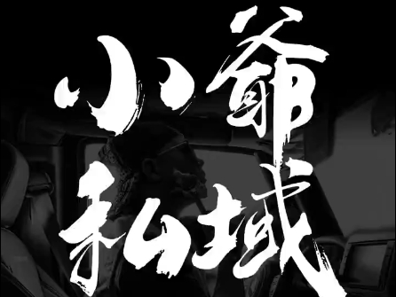 小爷·私域项目操盘手-爱找项目网