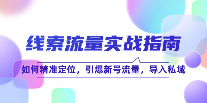 线 索 流 量-实战指南：如何精准定位，引爆新号流量，导入私域-爱找项目网