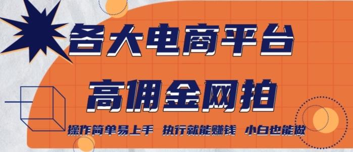 各大电商平台高佣金网拍，操作简单易上手，执行就能赚钱，小白也能做-爱找项目网