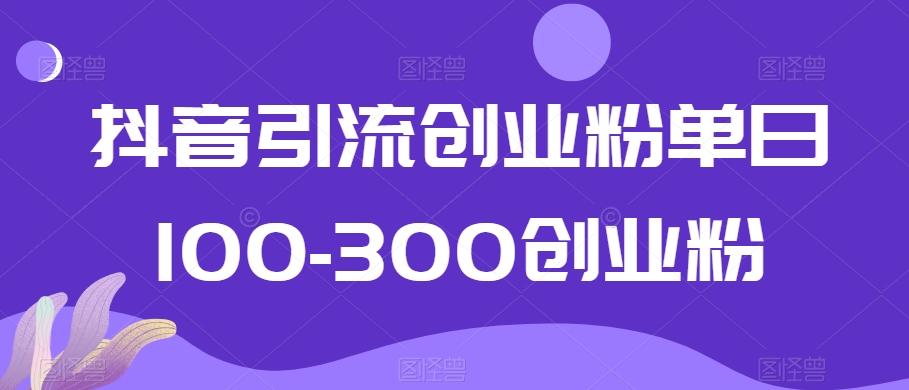 抖音引流创业粉单日100-300创业粉【揭秘】-爱找项目网