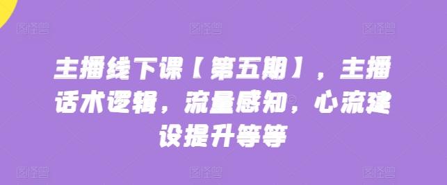 主播线下课【第五期】，主播话术逻辑，流量感知，心流建设提升等等-爱找项目网