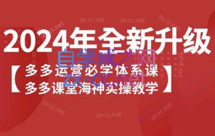 海神老师·拼多多运营必学体系课-爱找项目网