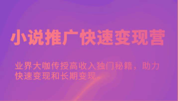 小说推广快速变现营-业界大咖传授高收入独门秘籍，助力快速变现和长期变现。-爱找项目网