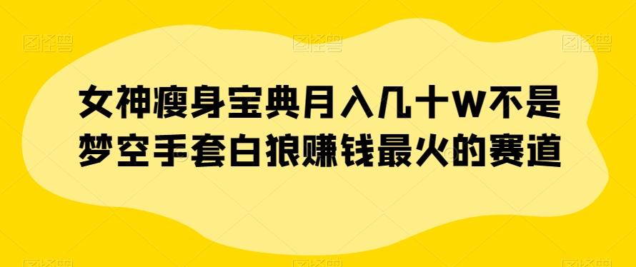 女神瘦身宝典月入几十W不是梦空手套白狼赚钱最火的赛道【揭秘】-爱找项目网