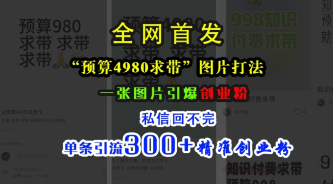 小红书“预算4980带我飞”图片打法，一张图片引爆创业粉，私信回不完，单条引流300+精准创业粉-爱找项目网