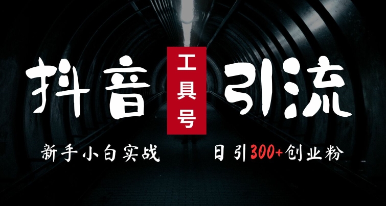 2024最新抖音工具号引流玩法，高效日引300+创业粉，当天变现5k，小白也可成为实战高手-爱找项目网