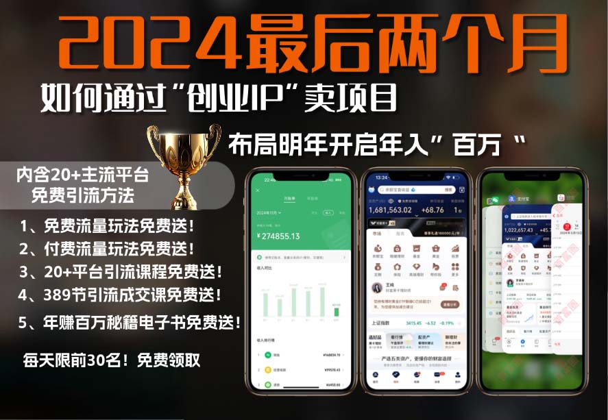 2024最后两个月如何通过”创业IP“卖项目年入”百万“,创业IP+最强引流…-爱找项目网