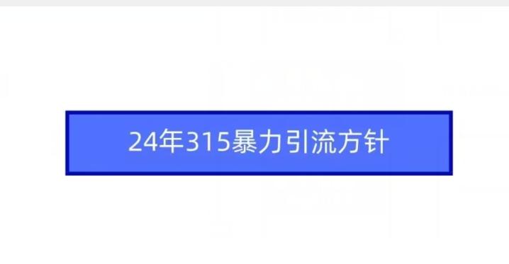 24年315暴力引流方针-爱找项目网