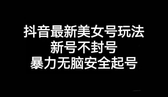 抖音最新美女号玩法，新号不封号，暴力无脑安全起号【揭秘】-爱找项目网