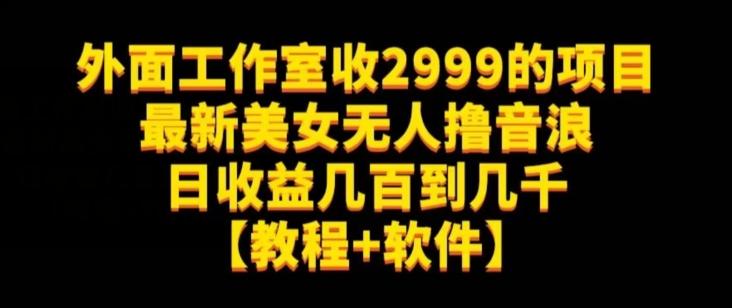 外面工作室收2999的项目最新美女无人撸音浪日收益几百到几千【教程+软件】（仅揭秘）-爱找项目网