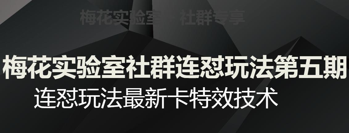 梅花实验室社群连怼玩法第五期，视频号连怼玩法最新卡特效技术-爱找项目网