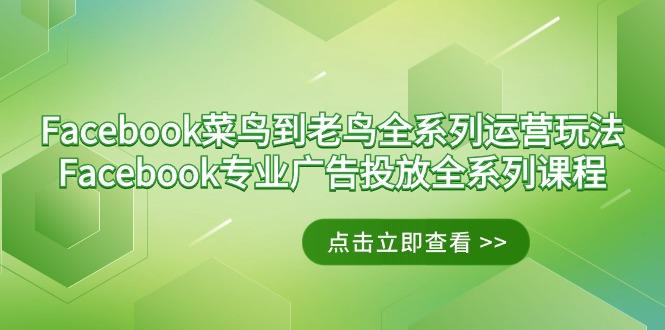 Facebook-菜鸟到老鸟全系列运营玩法+Facebook-专业广告投放全系列课程-爱找项目网