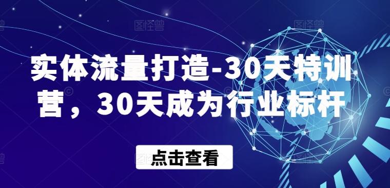 实体流量打造-30天特训营，30天成为行业标杆-爱找项目网