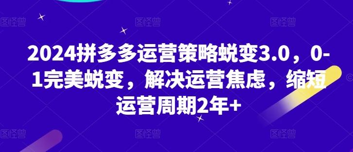 2024拼多多运营策略蜕变3.0，0-1完美蜕变，解决运营焦虑，缩短运营周期2年+-爱找项目网