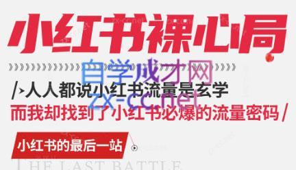 月月老师·小红书低粉高变现课-爱找项目网