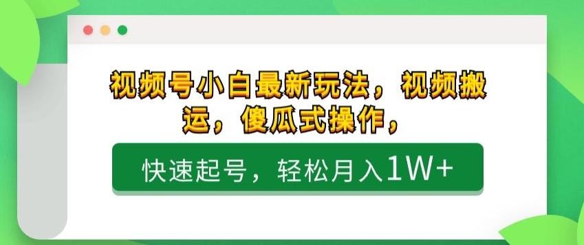 视频号小白最新玩法，视频搬运，傻瓜式操作，快速起号，轻松月入1W+-爱找项目网