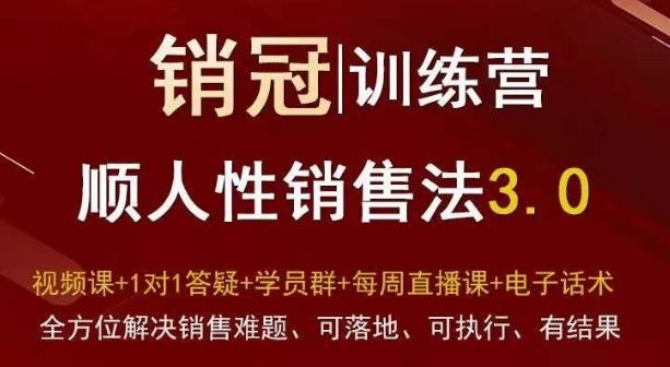 爆款！销冠训练营3.0之顺人性销售法，全方位解决销售难题、可落地、可执行、有结果-爱找项目网