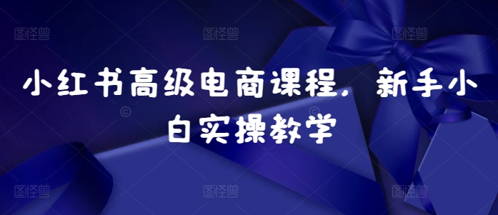 小红书高级电商课程，新手小白实操教学-爱找项目网