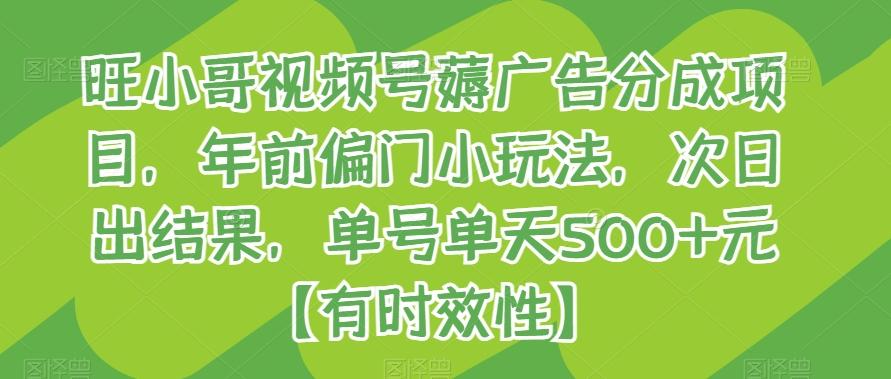 旺小哥视频号薅广告分成项目，年前偏门小玩法，次日出结果，单号单天500+元【有时效性】-爱找项目网
