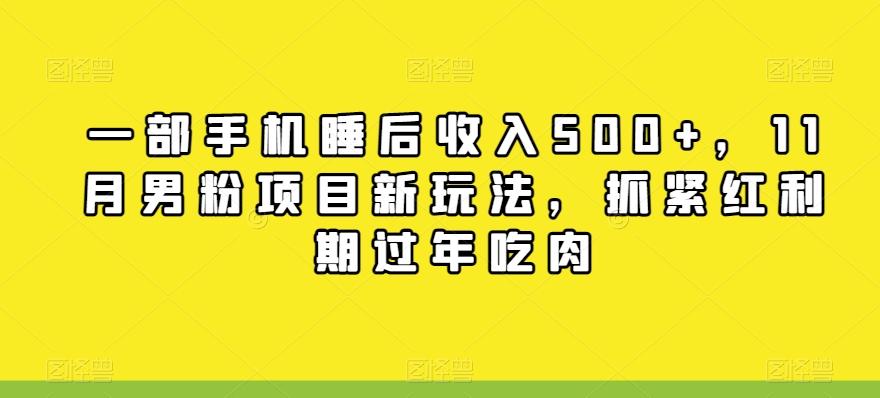 一部手机睡后收入500+，11月男粉项目新玩法，抓紧红利期过年吃肉-爱找项目网