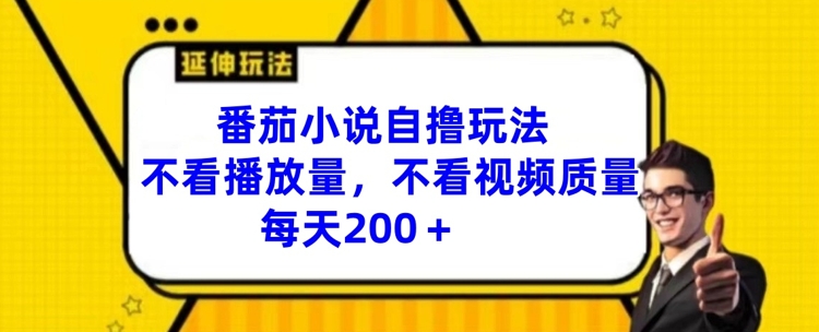 番茄小说自撸玩法，不看播放量，不看视频质量，每天200+【揭秘】-爱找项目网