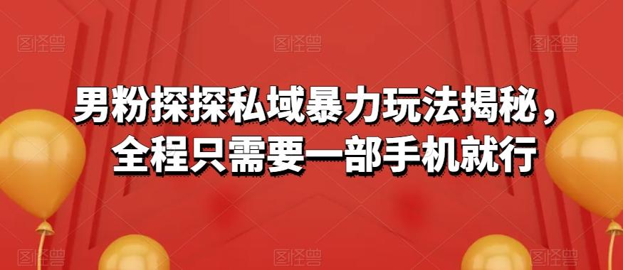男粉探探私域暴力玩法揭秘，全程只需要一部手机就行-爱找项目网
