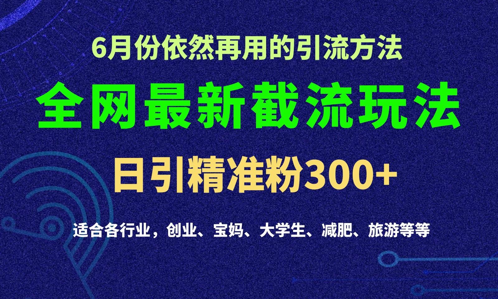 2024全网最新截留玩法，每日引流突破300+-爱找项目网