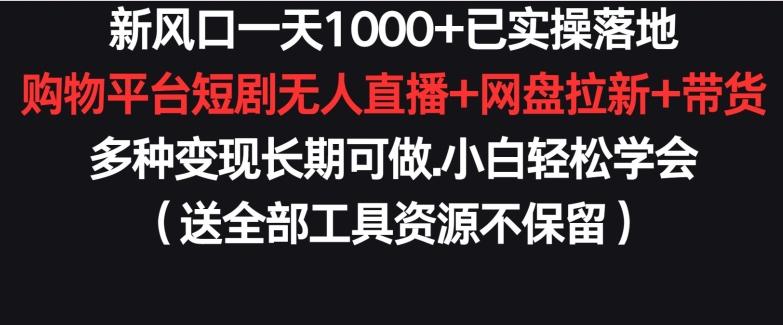 新风口一天1000+已实操落地购物平台短剧无人直播+网盘拉新+带货多种变现长期可做【揭秘】-爱找项目网