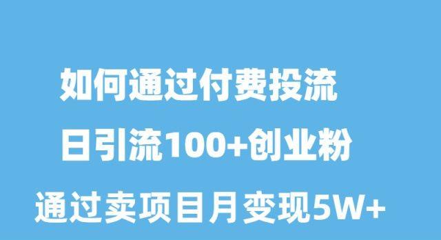 如何通过付费投流日引流100+创业粉月变现5W+-爱找项目网
