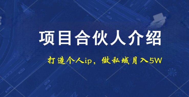 项目合伙人项目，打造个人IP，做私域月入5W，小白勿扰-爱找项目网