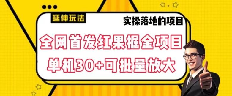 全网首发红果免费短剧掘金项目，单机30+可批量放大【揭秘】-爱找项目网
