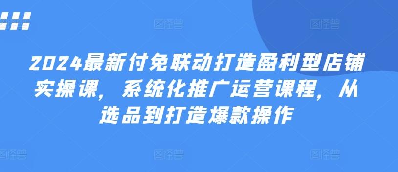 2024最新付免联动打造盈利型店铺实操课，​系统化推广运营课程，从选品到打造爆款操作-爱找项目网