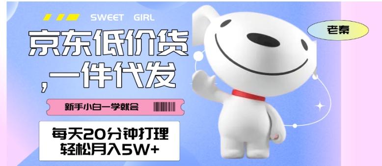 每天20分钟打理京东低价货，一件代发-轻松月入5W＋-爱找项目网