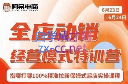 阿呆电商·全店动销经营模式特训营(线下录音+思维导图)-爱找项目网