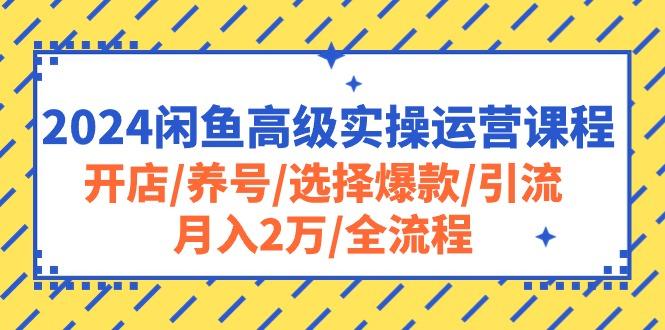 2024闲鱼高级实操运营课程：开店/养号/选择爆款/引流/月入2万/全流程-爱找项目网