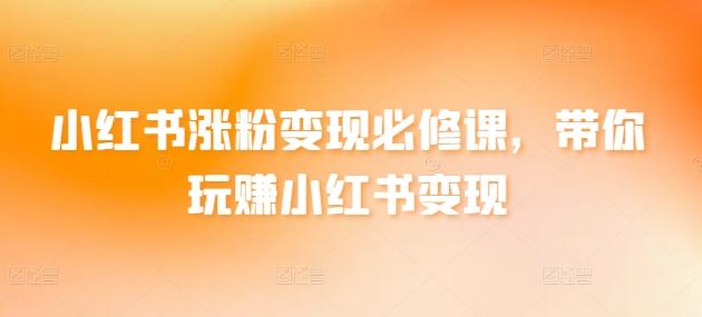小红书涨粉变现必修课，带你玩赚小红书变现-爱找项目网