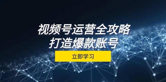 视频号运营全攻略，从定位到成交一站式学习，视频号核心秘诀，打造爆款…-爱找项目网