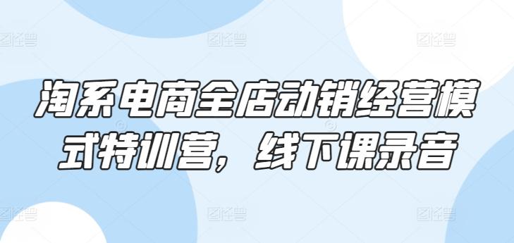 淘系电商全店动销经营模式特训营，线下课录音-爱找项目网
