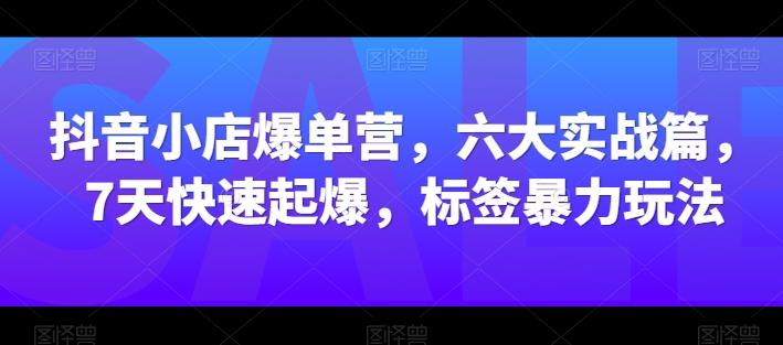抖音小店爆单营，六大实战篇，7天快速起爆，标签暴力玩法-爱找项目网