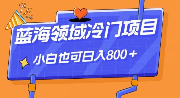 蓝海领域冷门赛道，一单39.9，日入800＋-爱找项目网