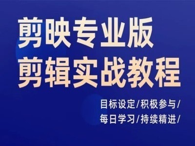 剪映专业版剪辑实战教程，目标设定/积极参与/每日学习/持续精进-爱找项目网