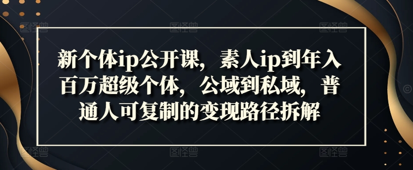 新个体ip公开课，素人ip到年入百万超级个体，公域到私域，普通人可复制的变现路径拆解-爱找项目网