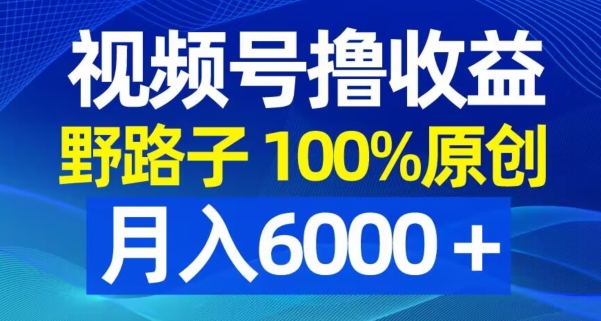 视频号野路子撸收益，100%原创，条条爆款，月入6000＋【揭秘】-爱找项目网