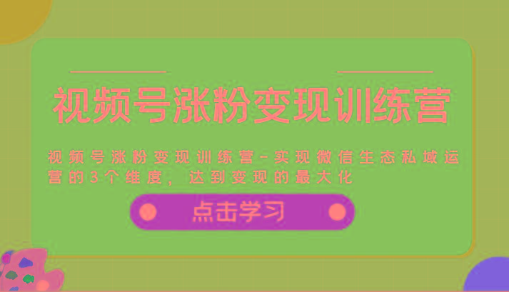 视频号涨粉变现训练营-实现微信生态私域运营的3个维度，达到变现的最大化-爱找项目网