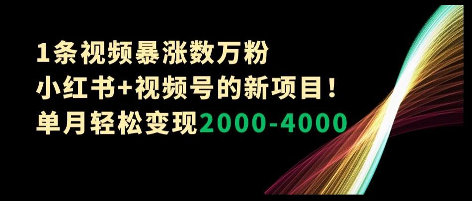1条视频暴涨数万粉–小红书+视频号的新项目！单月轻松变现2000-4000【揭秘】-爱找项目网